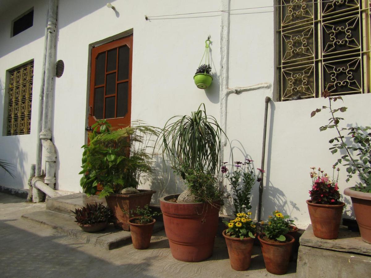 Nadya Homestay For Female & Family Jaipur Dış mekan fotoğraf